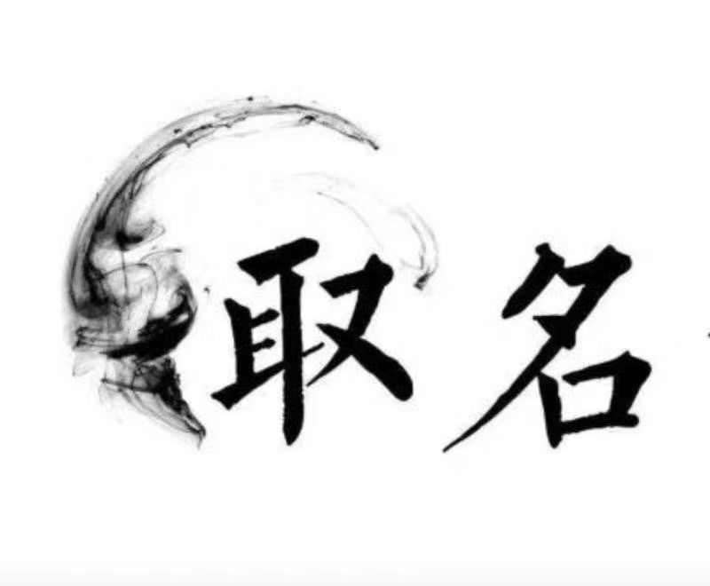  秦安宝宝取名 大师一对一人工起名